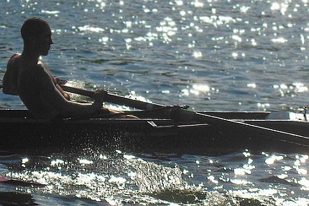 Rudern © Flickr / joiseyshowaa